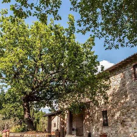 Il Colombaio Agriturismo Montegabbione Exterior foto