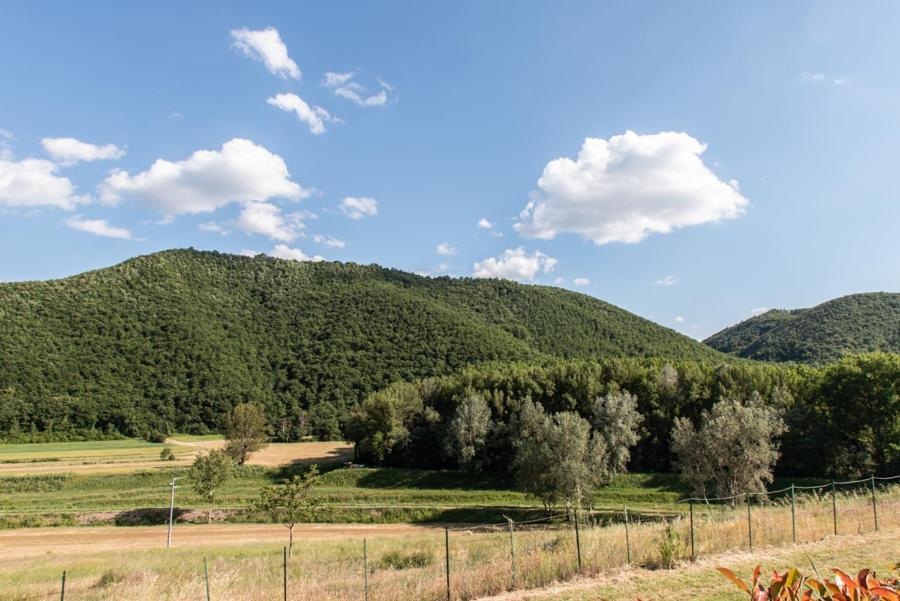 Il Colombaio Farm stay