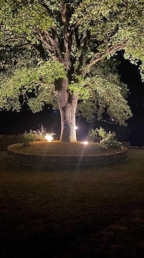 Il Colombaio Farm stay *