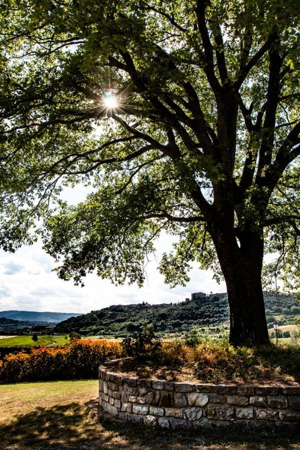 Farm stay Il Colombaio Montegabbione